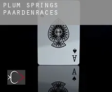 Plum Springs paardenraces