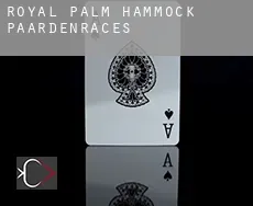 Royal Palm Hammock  paardenraces
