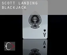 Scott Landing  blackjack