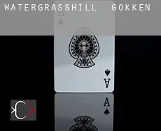 Watergrasshill gokken