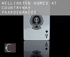 Wellington Homes at Countryway paardenraces