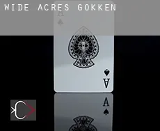 Wide Acres  gokken