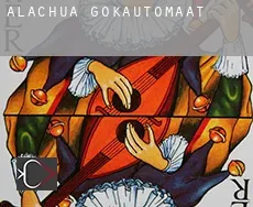 Alachua  gokautomaat