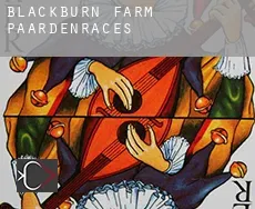 Blackburn Farm  paardenraces