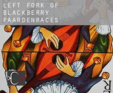 Left Fork of Blackberry  paardenraces
