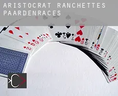 Aristocrat Ranchettes  paardenraces