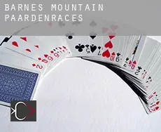 Barnes Mountain  paardenraces