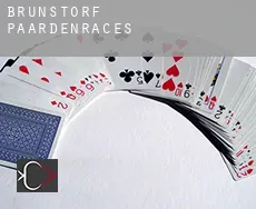 Brunstorf  paardenraces