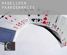 Hagelloch paardenraces
