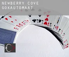 Newberry Cove  gokautomaat