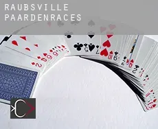 Raubsville  paardenraces