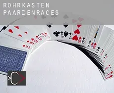 Röhrkasten  paardenraces