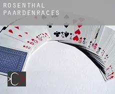 Rosenthal paardenraces