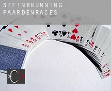 Steinbrünning  paardenraces