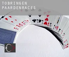 Tobringen paardenraces