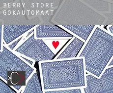Berry Store  gokautomaat