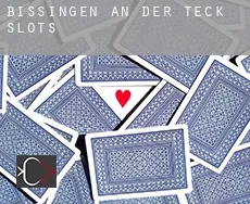 Bissingen an der Teck  slots