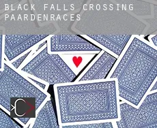 Black Falls Crossing  paardenraces
