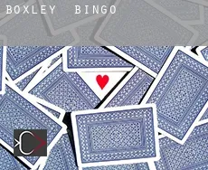 Boxley  bingo