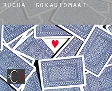 Bucha gokautomaat