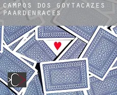 Campos dos Goytacazes paardenraces