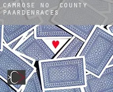 Camrose County  paardenraces