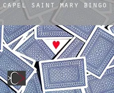 Capel Saint Mary  bingo