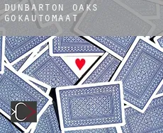 Dunbarton Oaks  gokautomaat