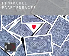 Finkmühle paardenraces