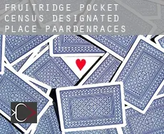 Fruitridge Pocket paardenraces
