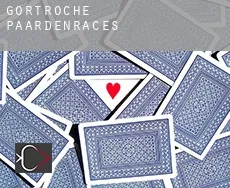 Gortroche  paardenraces