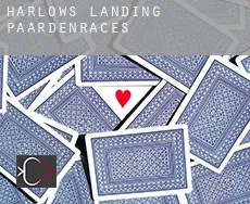 Harlows Landing  paardenraces