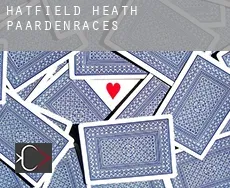 Hatfield Heath  paardenraces