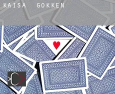 Kaisa  gokken