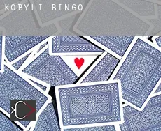 Kobylí bingo