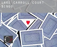 Lake Carroll Court  bingo