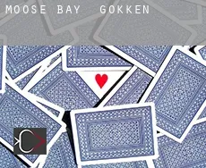 Moose Bay  gokken