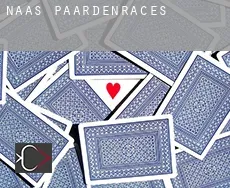 Naas paardenraces