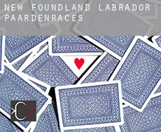 Newfoundland and Labrador  paardenraces