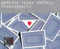 Norwood Young America  paardenraces