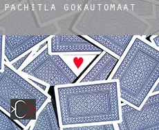 Pachitla  gokautomaat