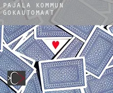 Pajala Kommun  gokautomaat