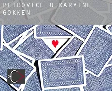 Petrovice u Karviné  gokken