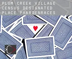 Plum Creek Village  paardenraces