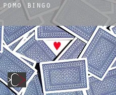 Pomo  bingo
