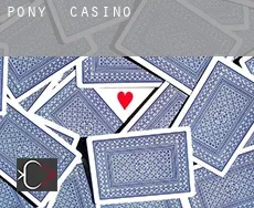 Pony  casino