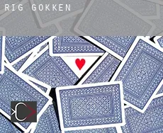Rig gokken