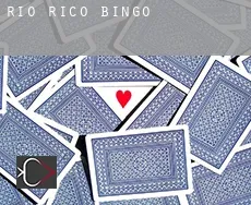 Rio Rico  bingo