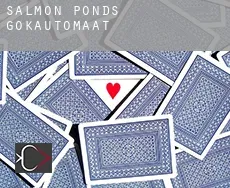 Salmon Ponds  gokautomaat