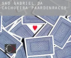 São Gabriel da Cachoeira paardenraces